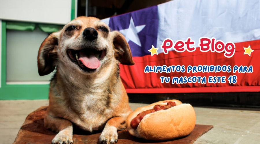 Alimentos que no debes darle a tu mascota en Fiestas Patrias