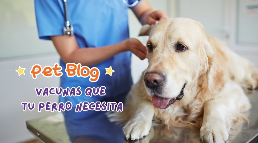 Vacunas Básicas para tu Perro