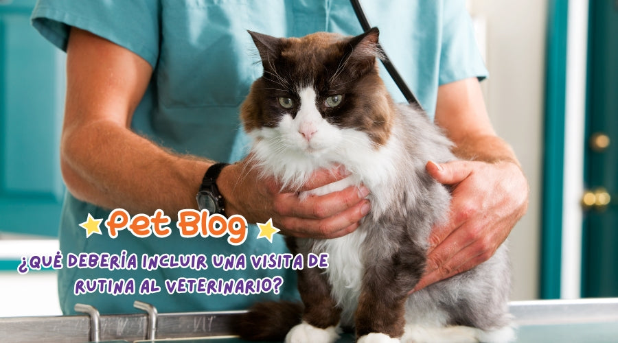 ¿Qué debería incluir una visita de rutina al veterinario?
