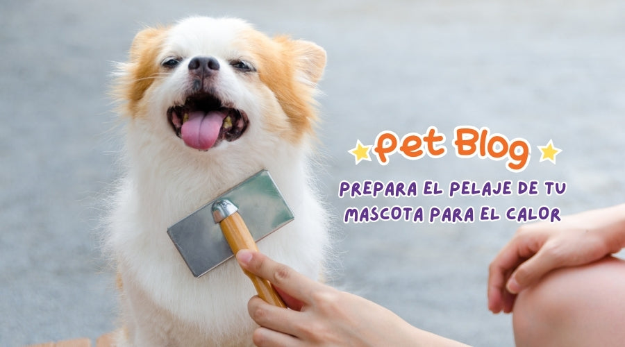 ¡Prepara el pelaje de tu mascota para el calor!