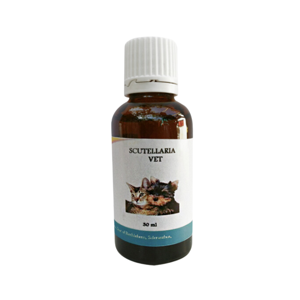 Scutellaria Vet 30 ML