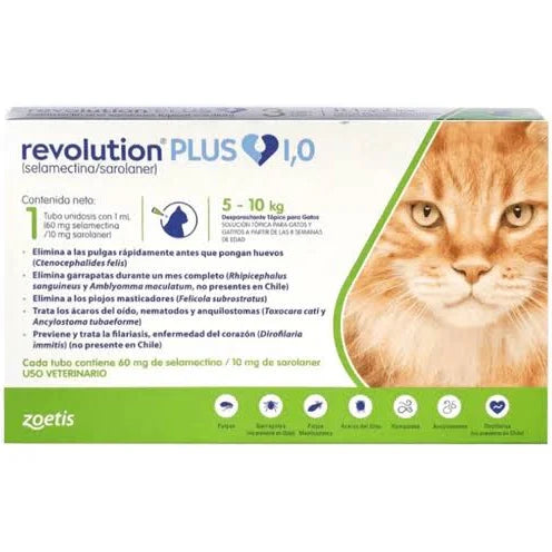 Revolution Plus Gatos de 5 a 10 kg
