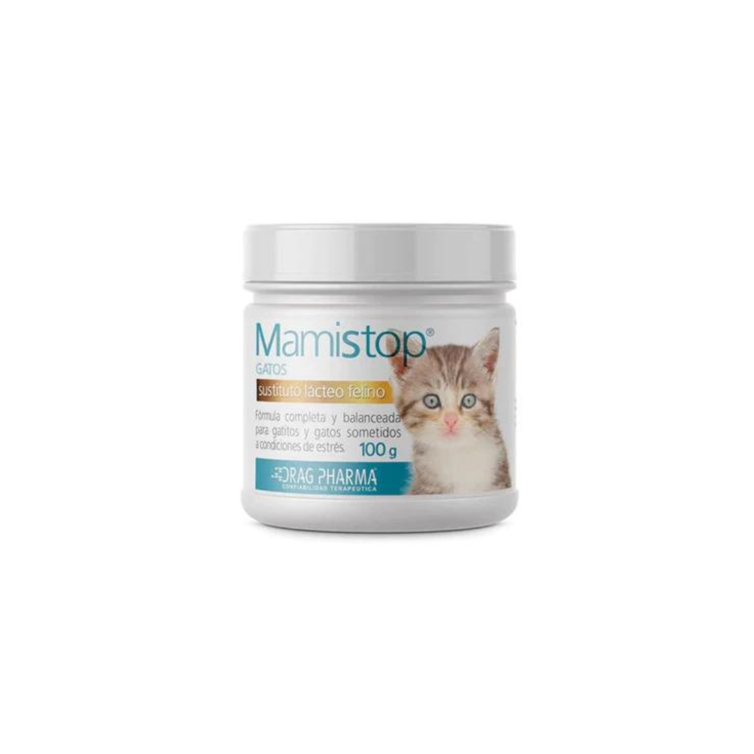 Alimento Para Gatitos Mamistop Gatitos 100G