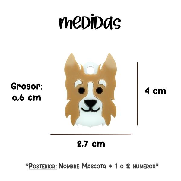 Placa de Perro - Border Collie