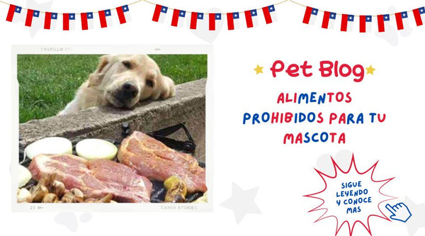 Alimentos Prohibidos para tu Mascota en Fiestas Patrias 🇨🇱