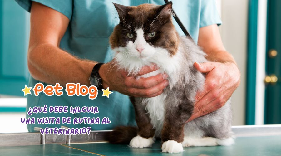 ¿Qué debería incluir una visita de rutina al veterinario?